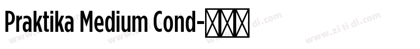 Praktika Medium Cond字体转换